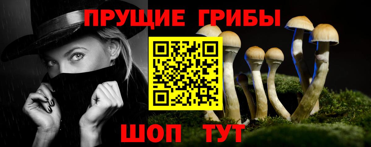 Псилоцибиновые грибы Cubensis  Вход с VPN  Кудрово 